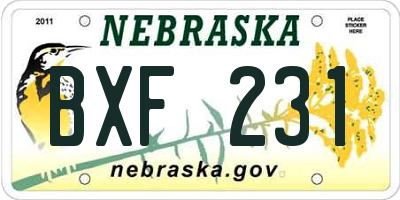 NE license plate BXF231