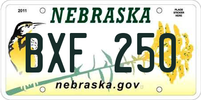 NE license plate BXF250