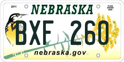 NE license plate BXF260