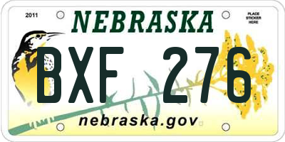 NE license plate BXF276