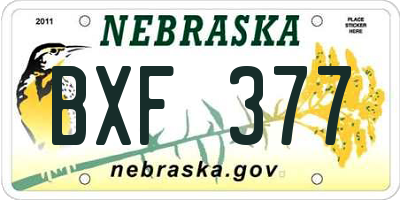 NE license plate BXF377
