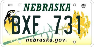 NE license plate BXF731