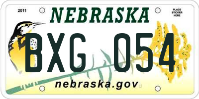 NE license plate BXG054