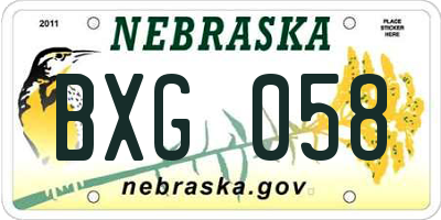 NE license plate BXG058