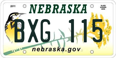 NE license plate BXG115