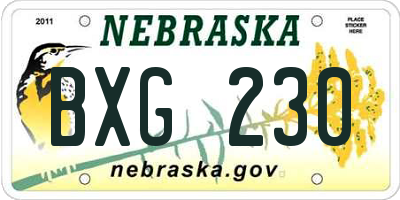 NE license plate BXG230
