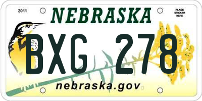 NE license plate BXG278