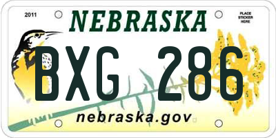NE license plate BXG286