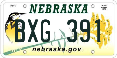 NE license plate BXG391