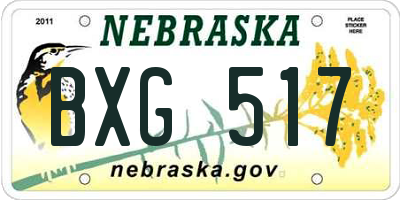 NE license plate BXG517