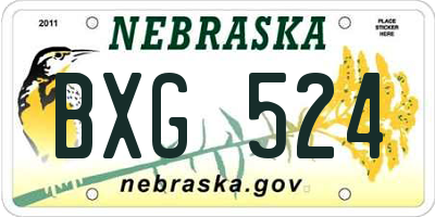 NE license plate BXG524