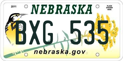 NE license plate BXG535