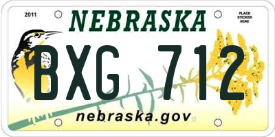 NE license plate BXG712