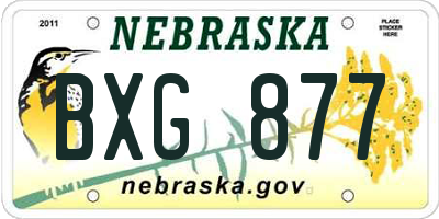 NE license plate BXG877