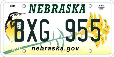 NE license plate BXG955