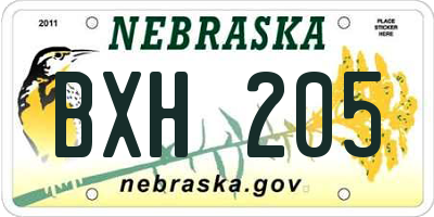 NE license plate BXH205