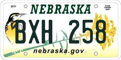 NE license plate BXH258