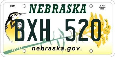 NE license plate BXH520