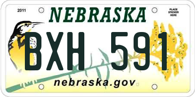 NE license plate BXH591