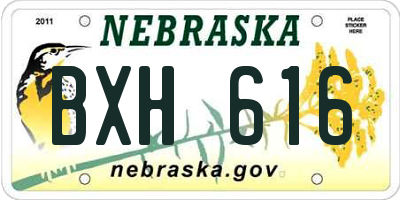 NE license plate BXH616