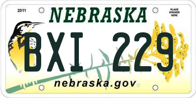 NE license plate BXI229