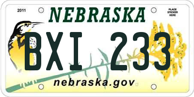 NE license plate BXI233