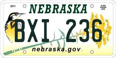 NE license plate BXI236