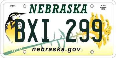 NE license plate BXI299