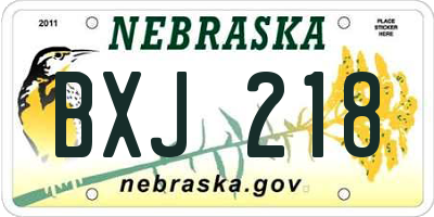 NE license plate BXJ218