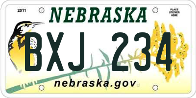 NE license plate BXJ234