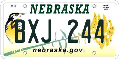 NE license plate BXJ244
