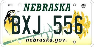 NE license plate BXJ556