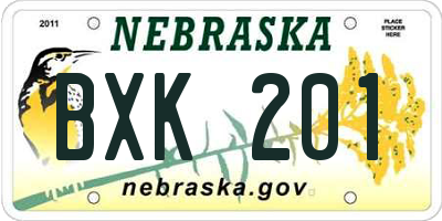 NE license plate BXK201