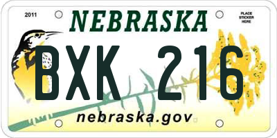NE license plate BXK216