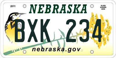 NE license plate BXK234