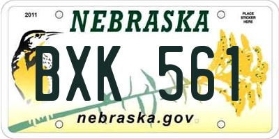 NE license plate BXK561