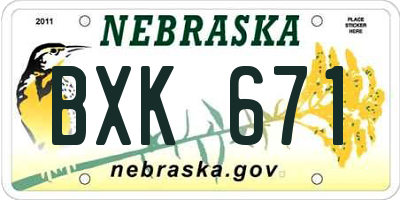 NE license plate BXK671