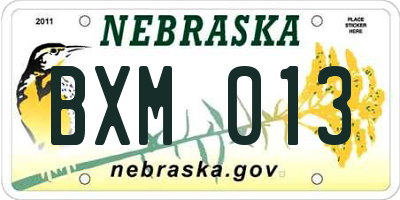 NE license plate BXM013
