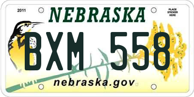 NE license plate BXM558