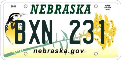 NE license plate BXN231