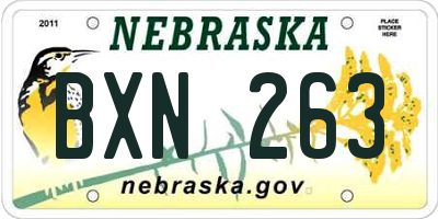 NE license plate BXN263