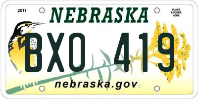 NE license plate BXO419