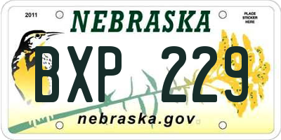 NE license plate BXP229
