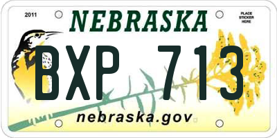 NE license plate BXP713