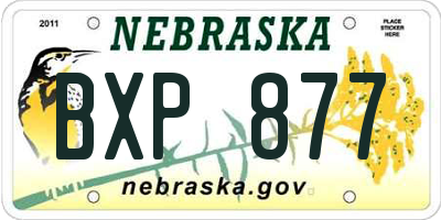 NE license plate BXP877