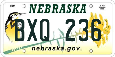 NE license plate BXQ236