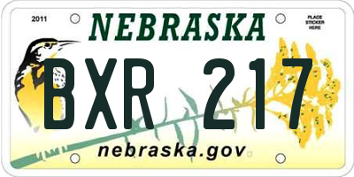 NE license plate BXR217