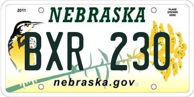 NE license plate BXR230