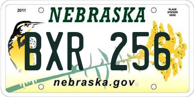 NE license plate BXR256