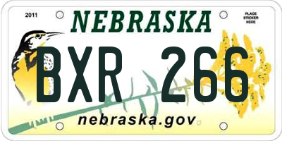 NE license plate BXR266